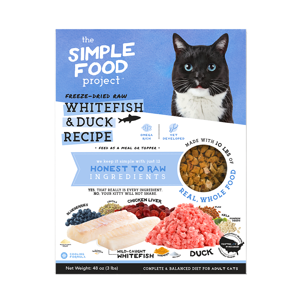 Simple Food Project For Cats