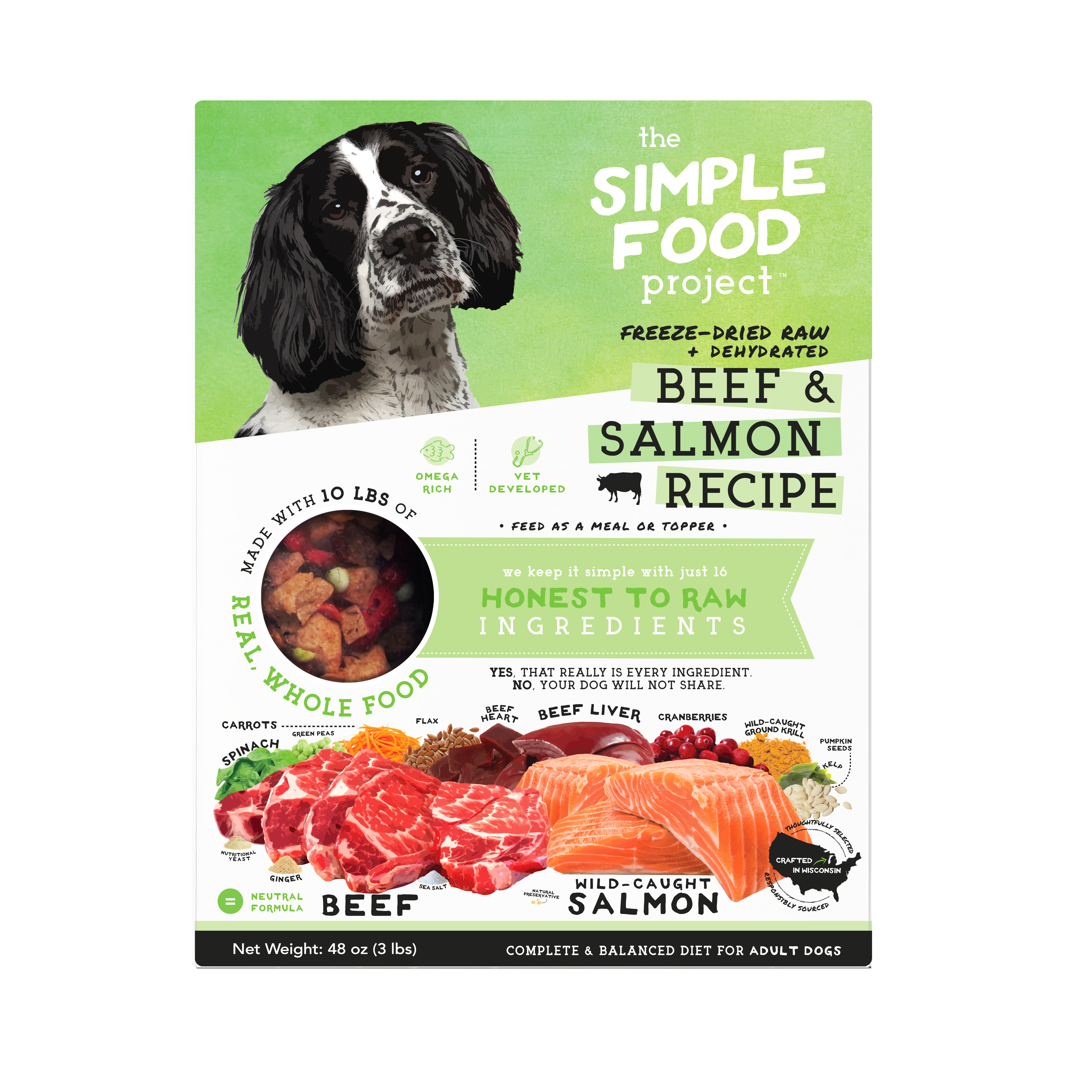 Simple Food Project For Dogs