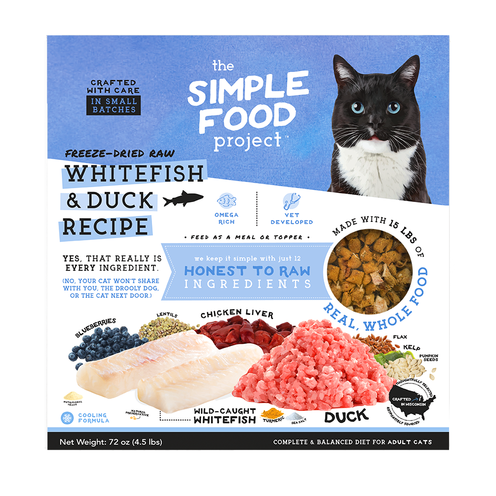 Simple Food Project For Cats