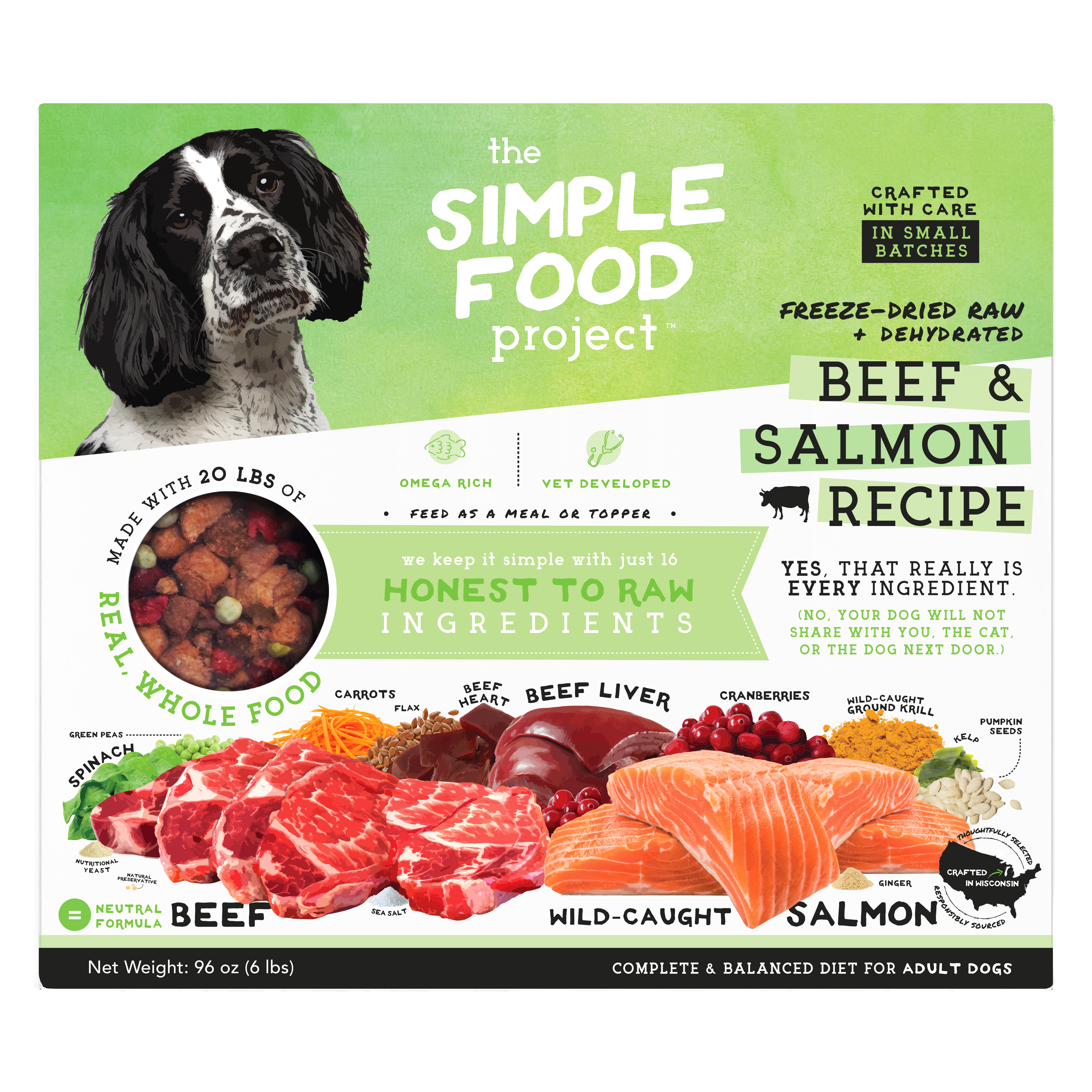 Simple Food Project For Dogs