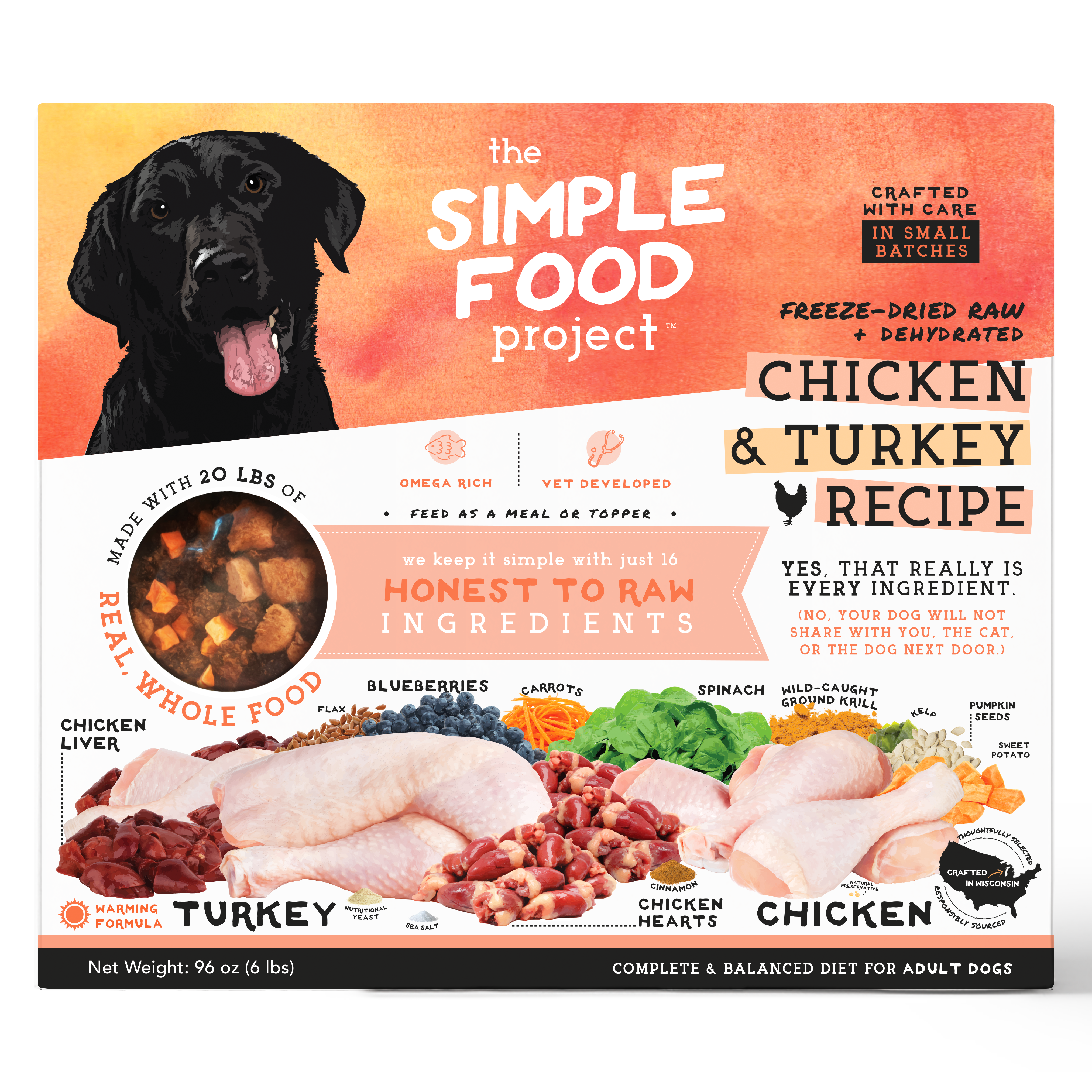 Simple Food Project For Dogs
