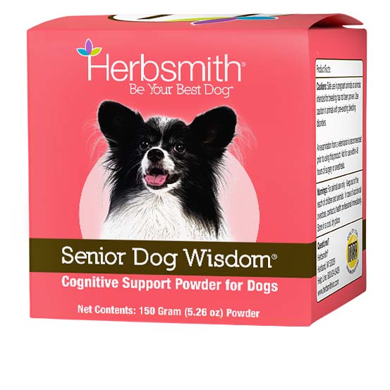 Senior Dog Wisdom