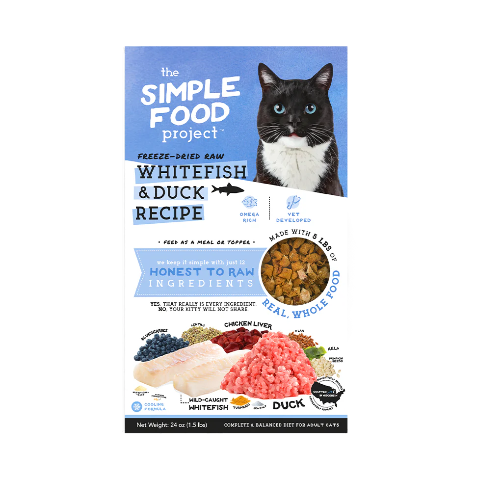 Simple Food Project For Cats