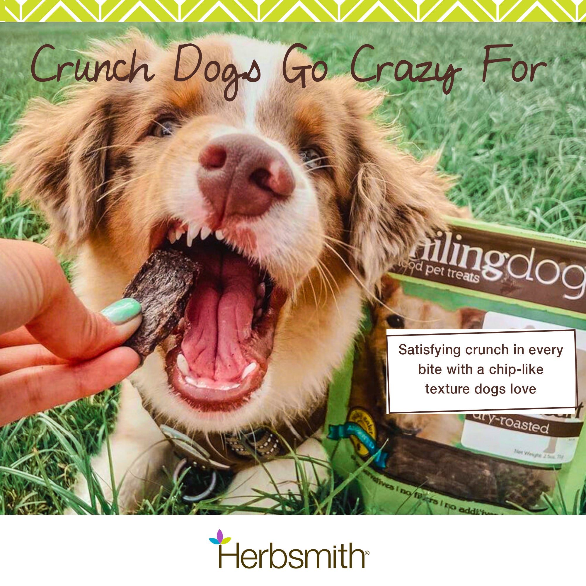 Smiling Dog Dry Roasted Treats