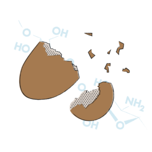 Reduces Dietary Phosphorus Load