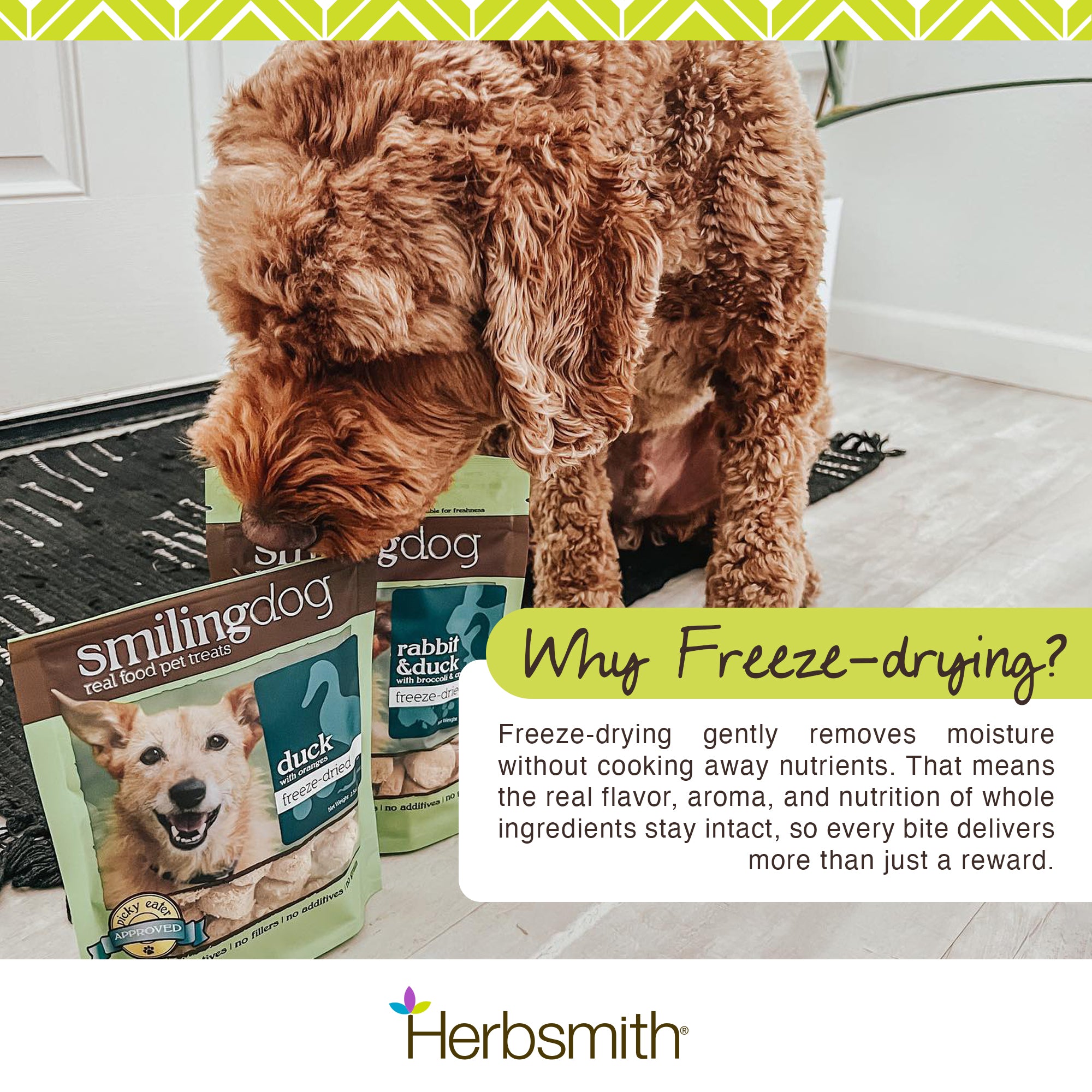 Smiling Dog Freeze Dried Treats