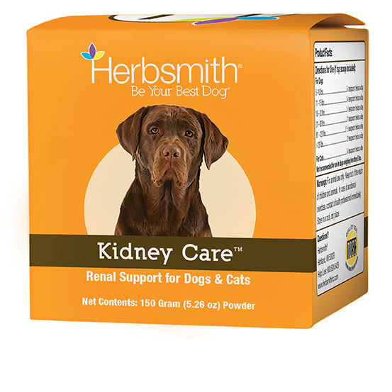 Kidney Care