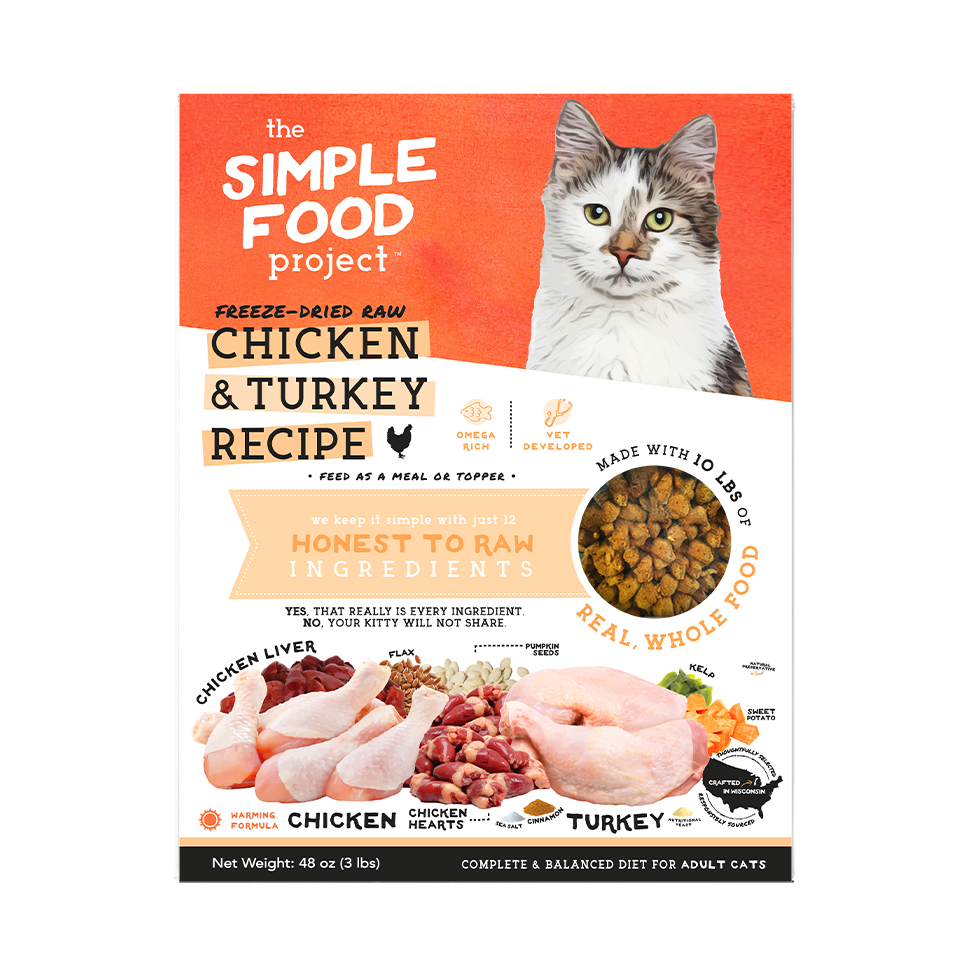 Simple Food Project For Cats