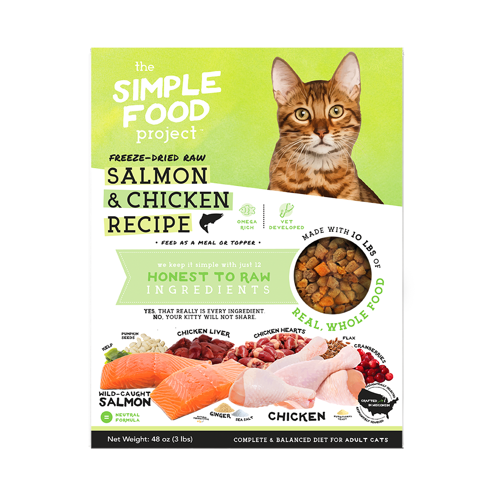 Simple Food Project For Cats