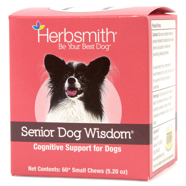 Senior Dog Wisdom