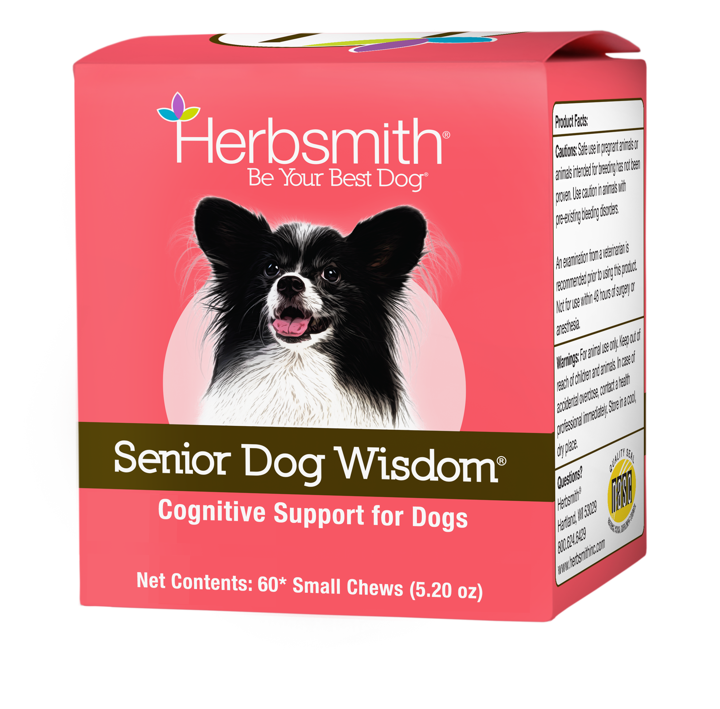 Senior Dog Wisdom