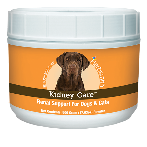 Kidney Care