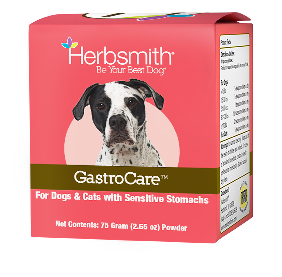 GastroCare