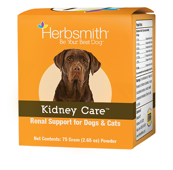 Kidney Care