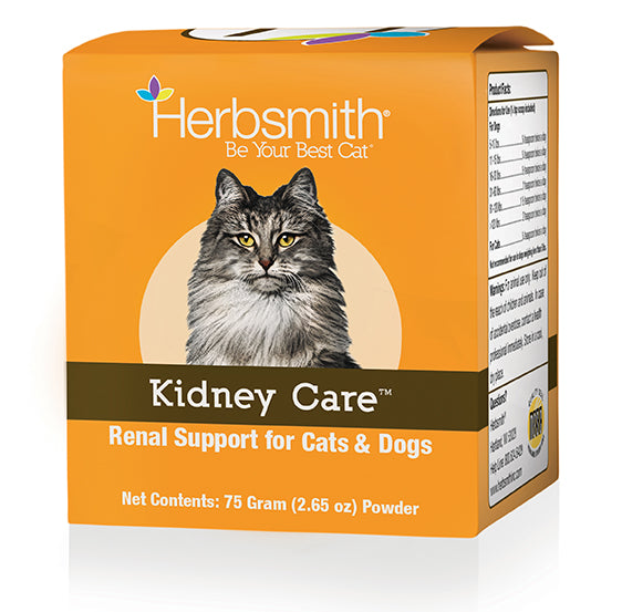 Kidney Care Kitty