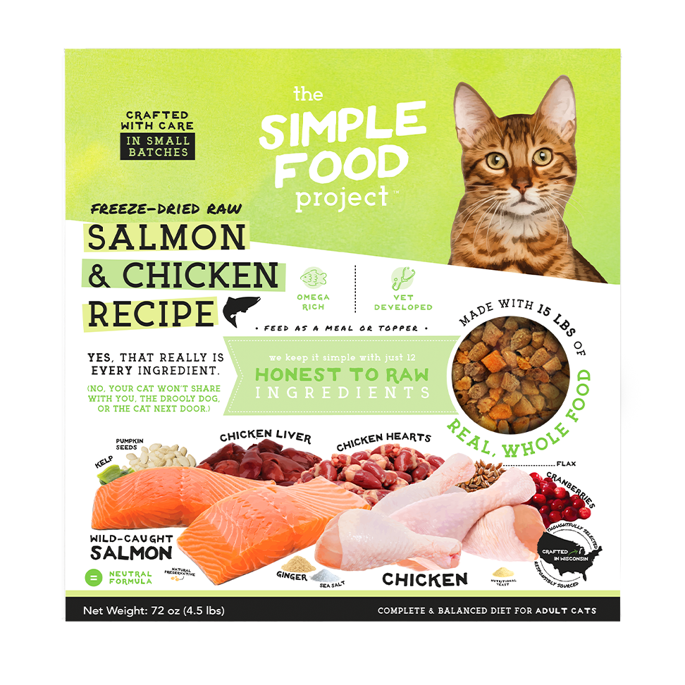 Simple Food Project For Cats