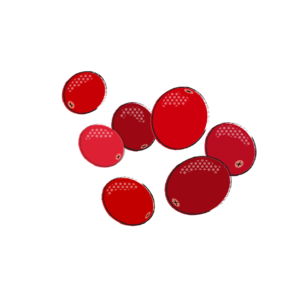 Supports a Healthy Urinary pH