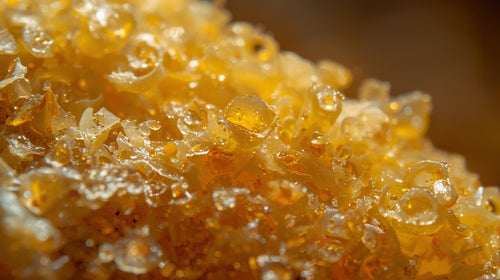 Brewers Yeast
