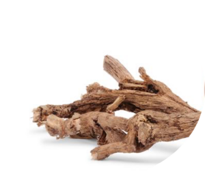 Chicory Root