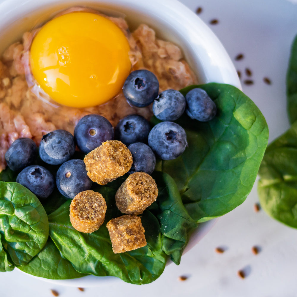 A bowl with meat, an egg, blueberries, spinach, and Herbsmith supplements on a table