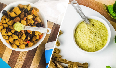 How to feed Dog Breath Dental Powder & Chews