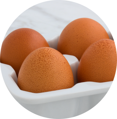 Egg