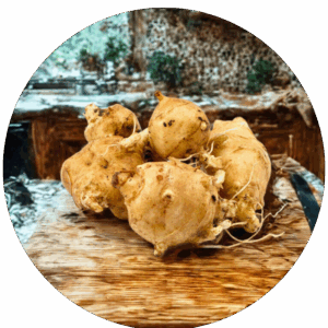Fructooligosaccharides (FOS)