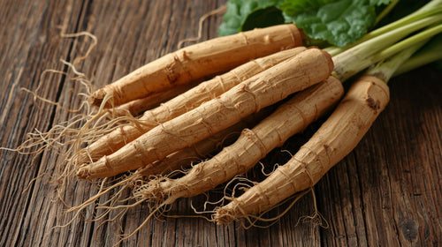 Wisconsin Ginseng