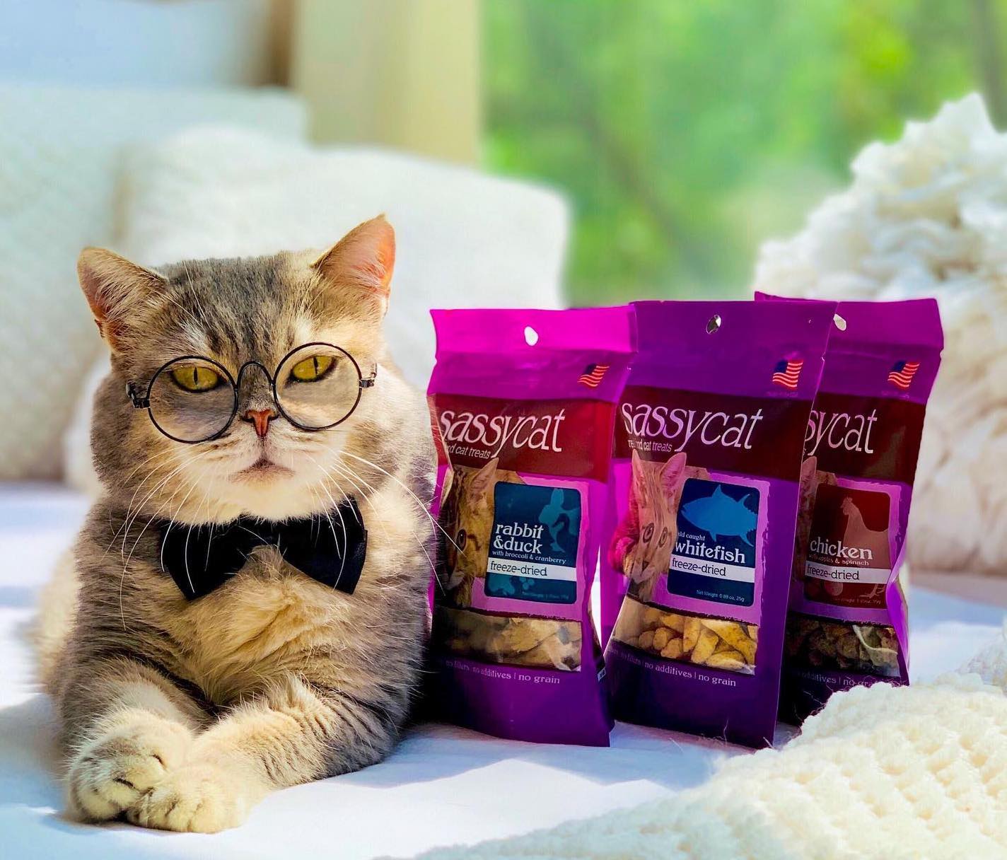Sassy Cat Treats