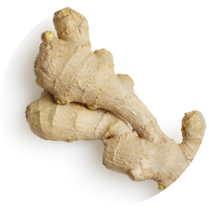 Ginger