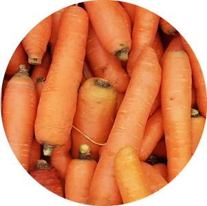 Carrots
