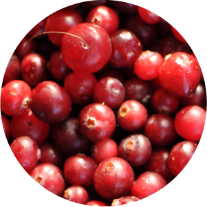 Cranberries