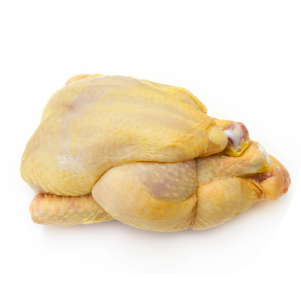 Guinea Fowl