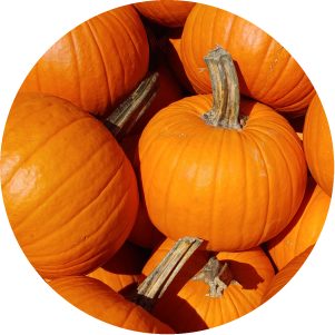 Pumpkin