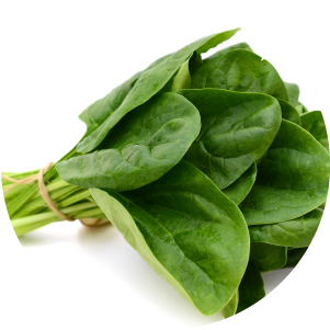 Spinach