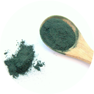 Spirulina Algae