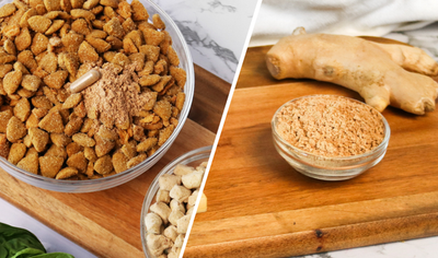 How to feed Kidney Care Kitty