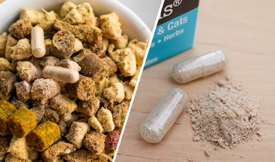 How to feed Microflora Plus