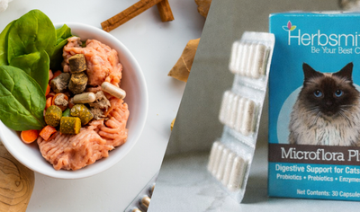 How to feed Microflora Plus For Cats