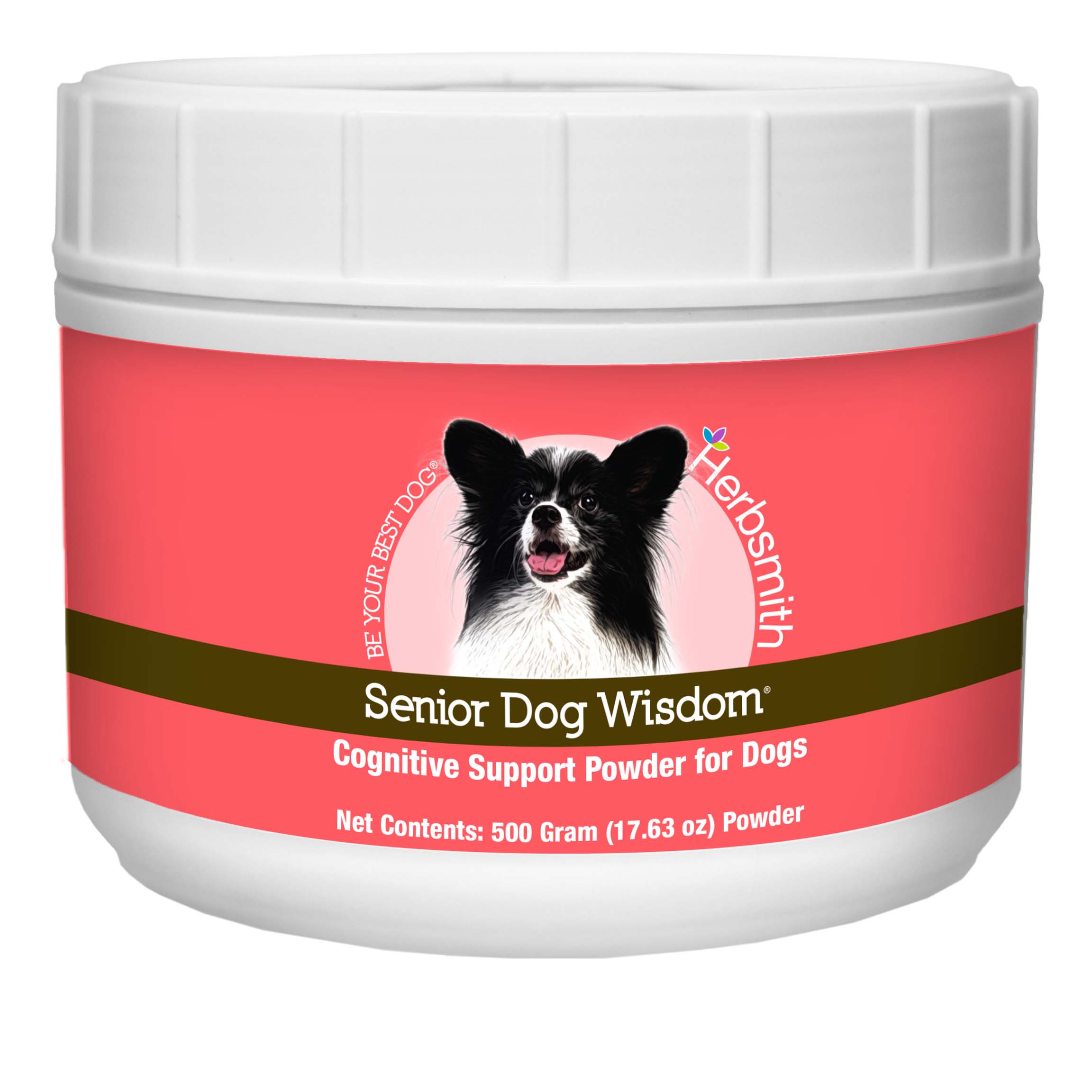 Senior Dog Wisdom