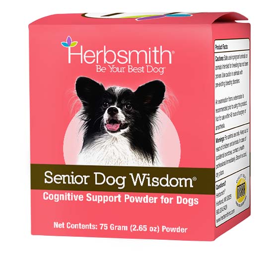 Senior Dog Wisdom
