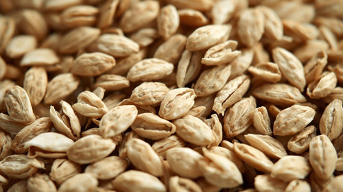 Oat Groats