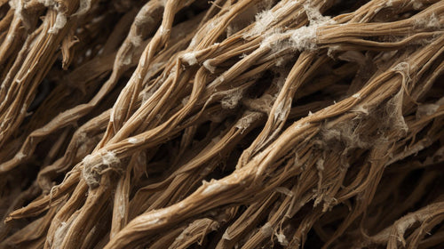Rehmannia Root Prepared