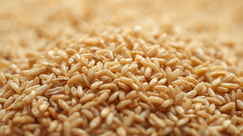Rice Bran
