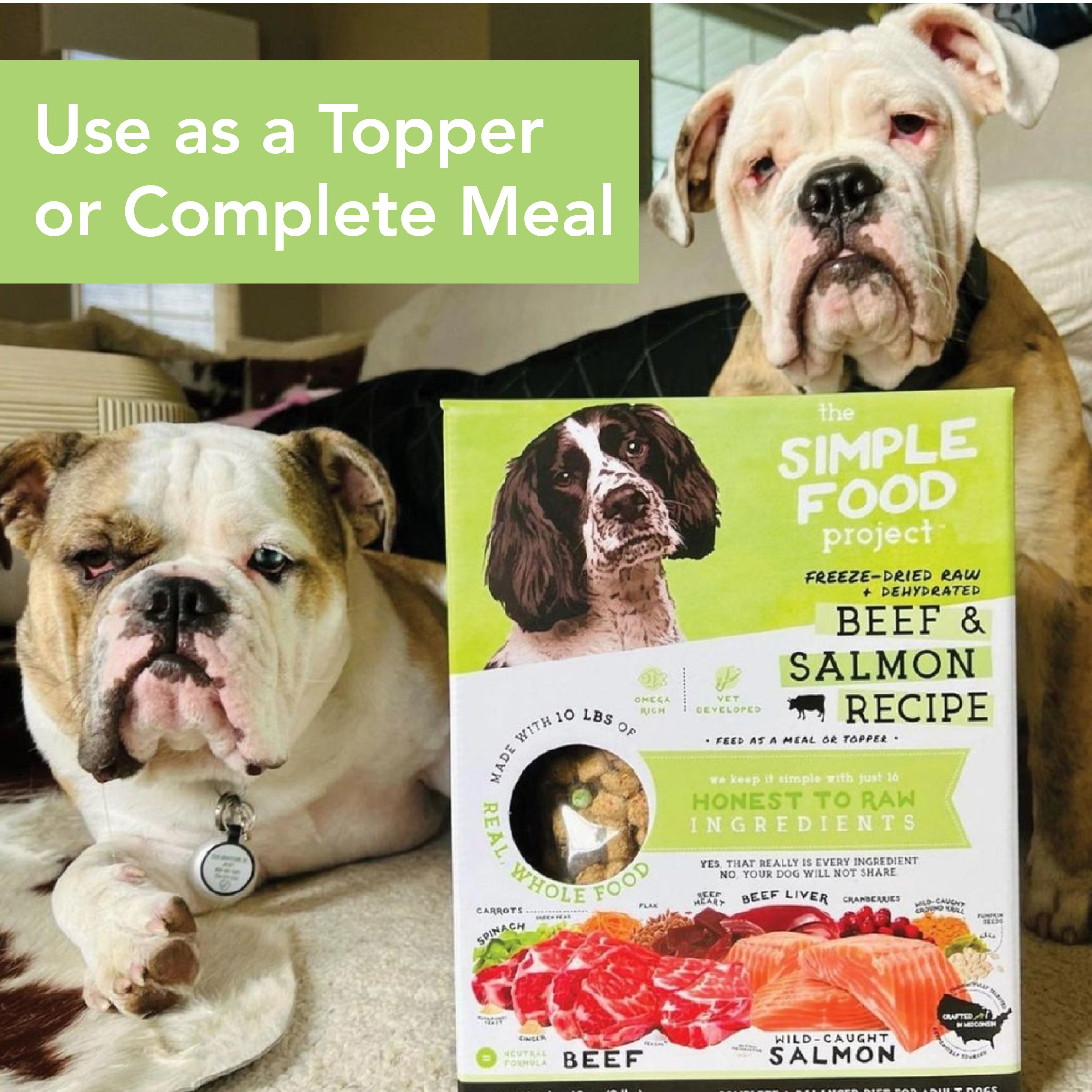 Simple Food Project For Dogs
