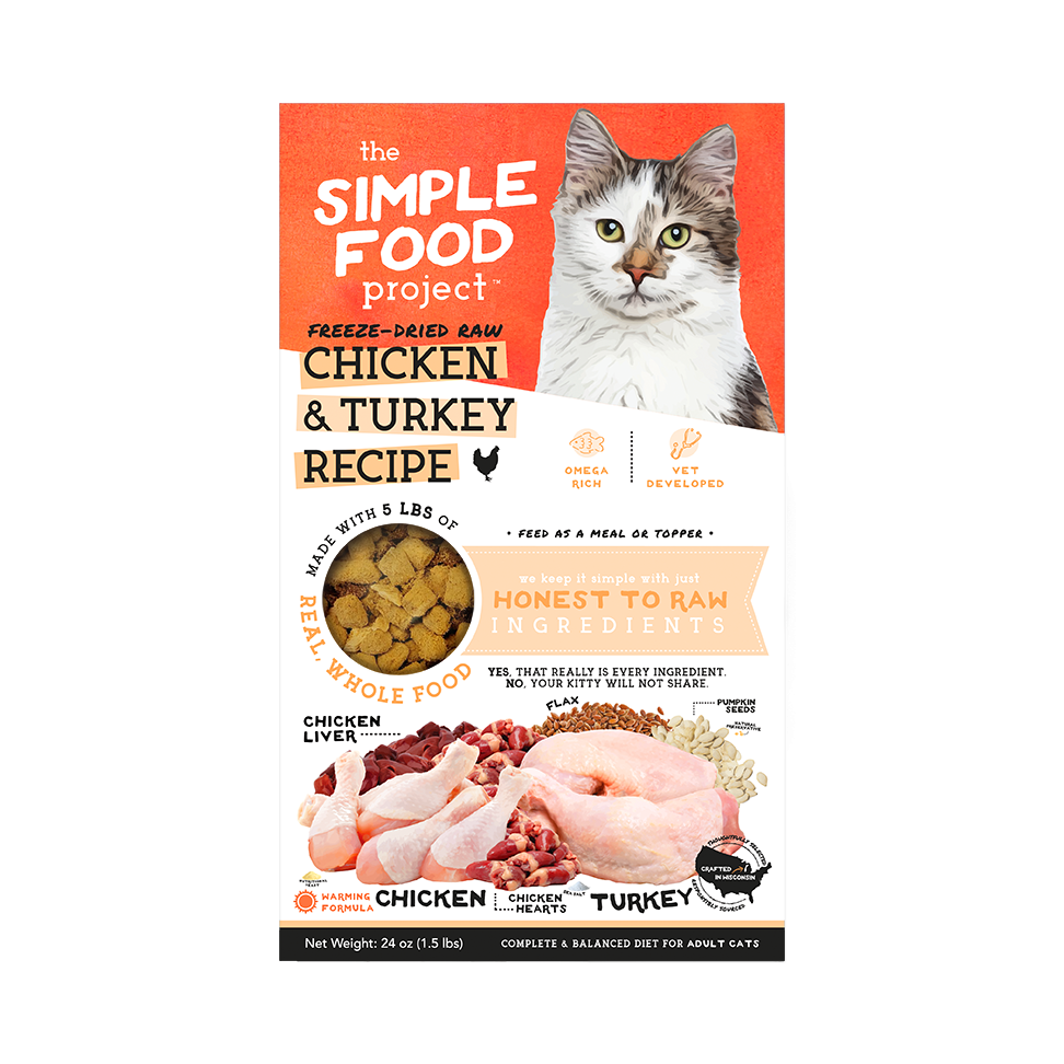 Simple Food Project For Cats