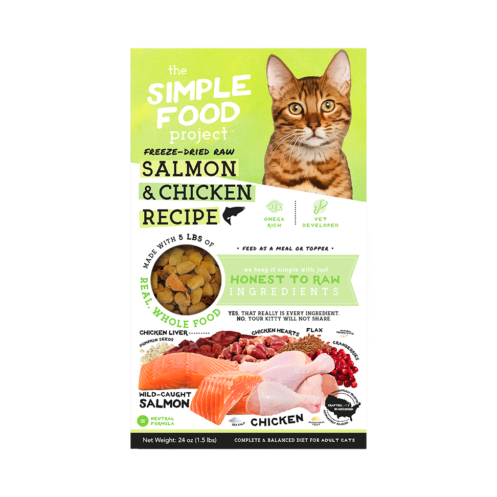 Simple Food Project For Cats