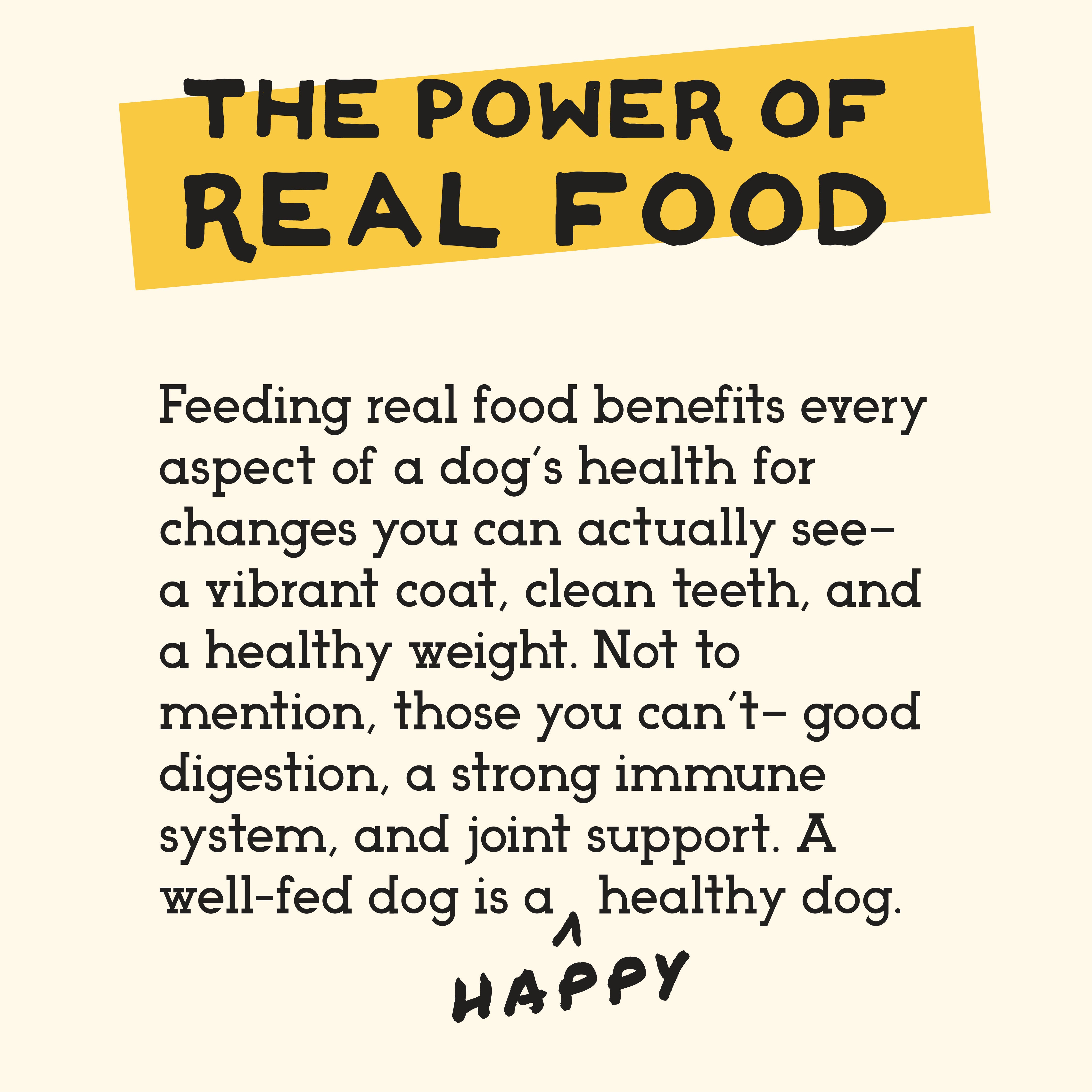 Simple Food Project For Dogs