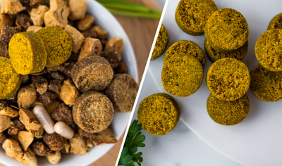 How to feed Sound Dog Viscosity