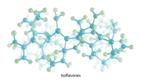 Soy (Isoflavones)